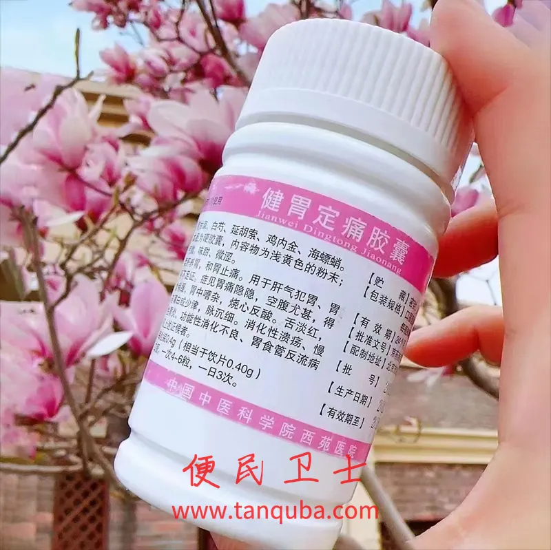 中国中医科学院西苑医院 健胃定痛胶囊