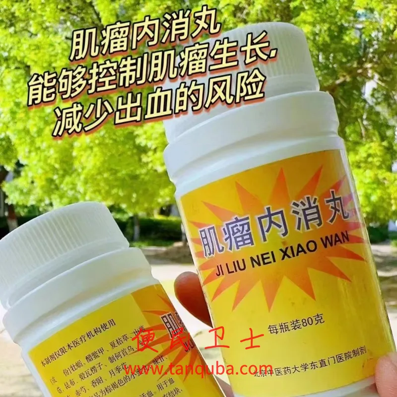 北京东直门中医院 肌瘤内消丸