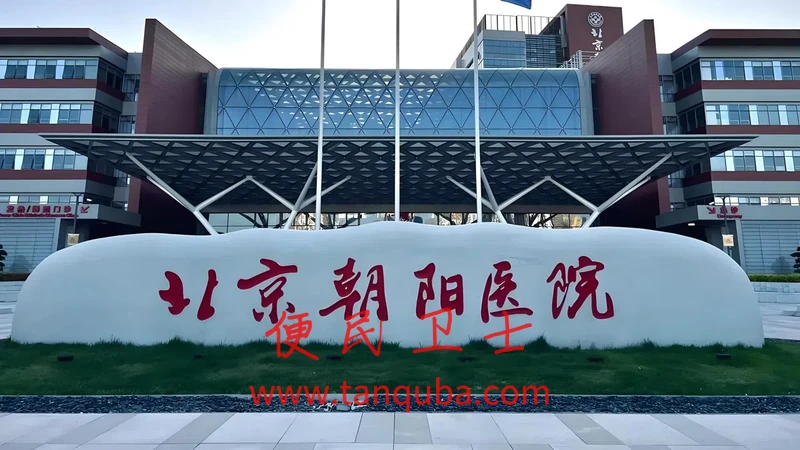 首都医科大学附属北京朝阳医院